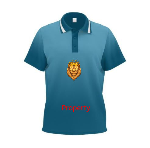 Custom design of Hawaii T-shirt